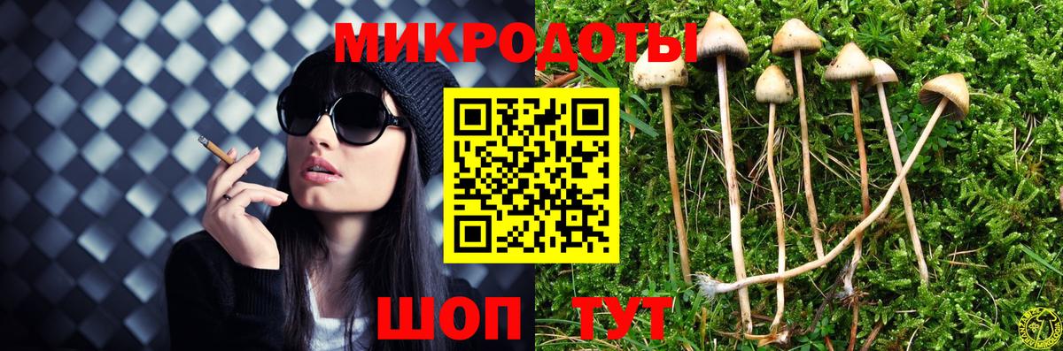 Псилоцибиновые грибы прущие грибы  Вход с VPN  Дивногорск 